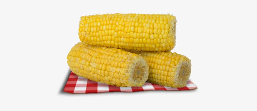 Corn - Corn On The Cob, transparent png download