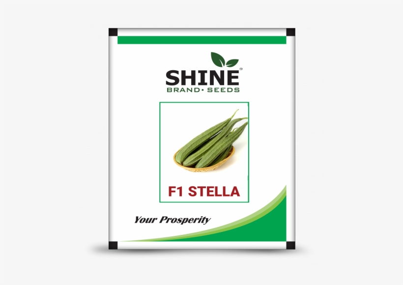 Ridge Gourd - F1 Stella - Tell Me More, transparent png download