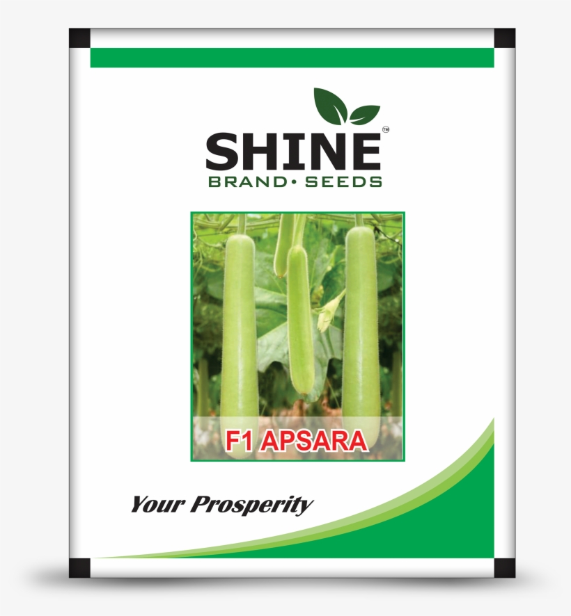 Pepper Agro Vegetable Seed Gourd 8 Variety, transparent png download