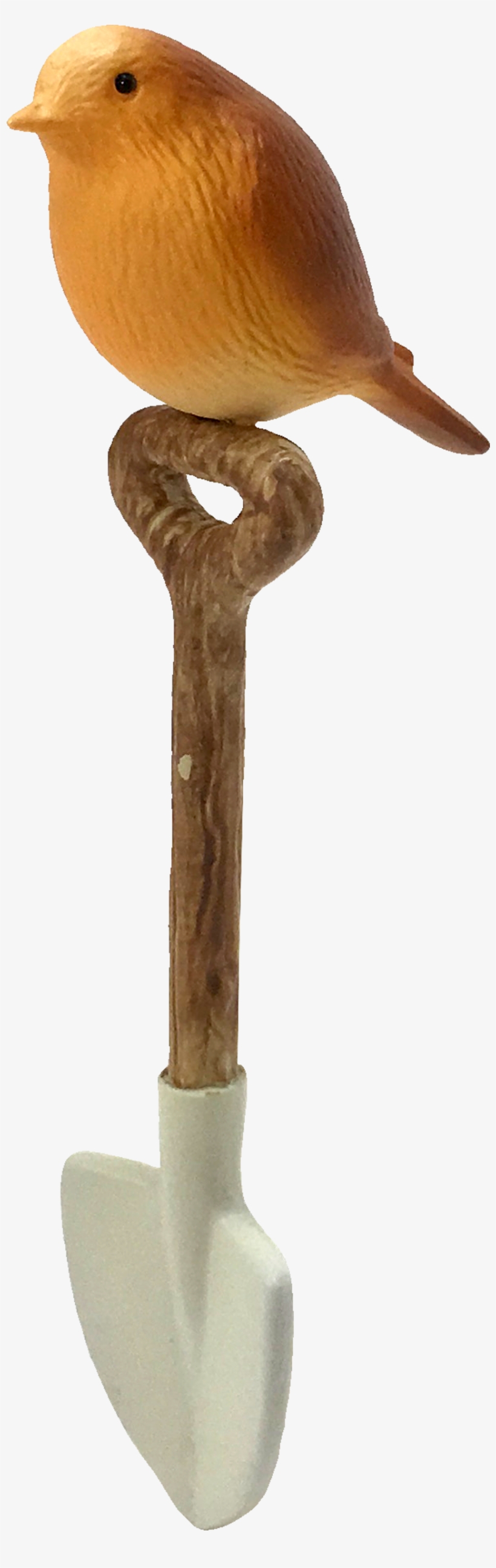 Bird, transparent png download