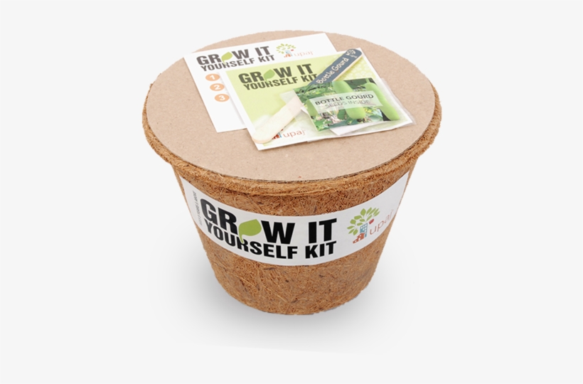 Calendula, transparent png download