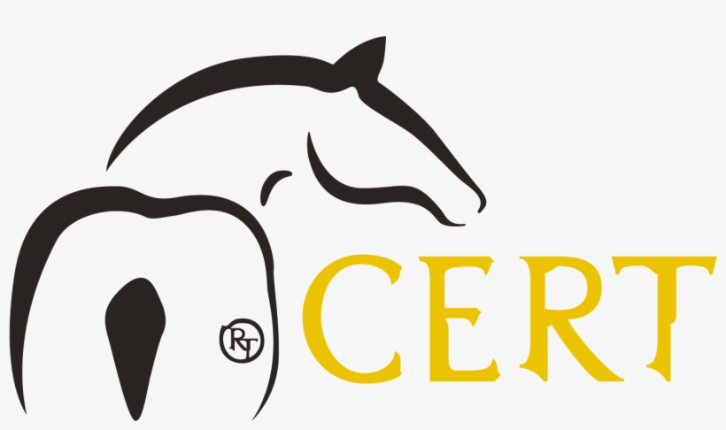 By Offering Riding Lessons, Occupational Therapy, Sales - Rancho Tecate, transparent png download