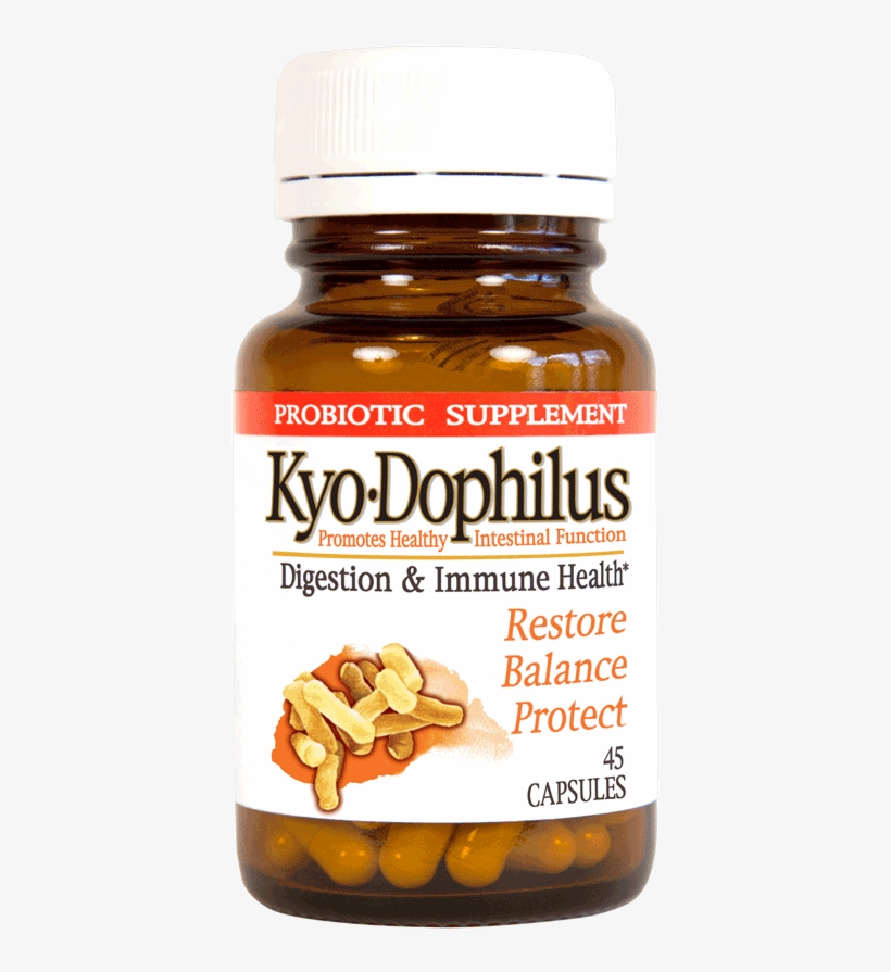Kyo-dophilus Capsules - Kyolic - Kyo-dophilus Probiotic - 90 Capsules, transparent png download