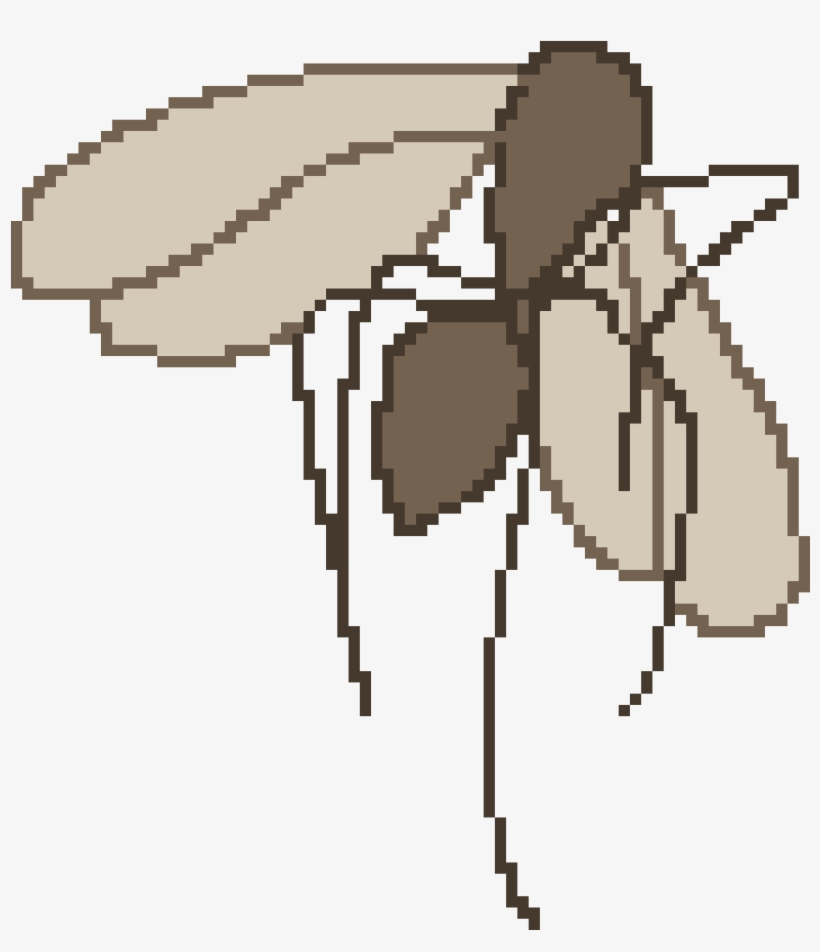 Mosca - Membrane-winged Insect, transparent png download
