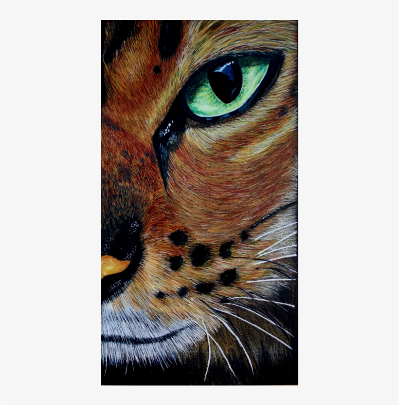 Eye Of The Bengal Colored Pencil Tutorial - Tabby Cat, transparent png download