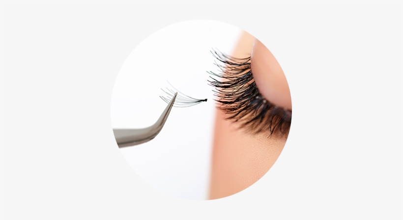Read More‎ - Eyelash Extension Png, transparent png download