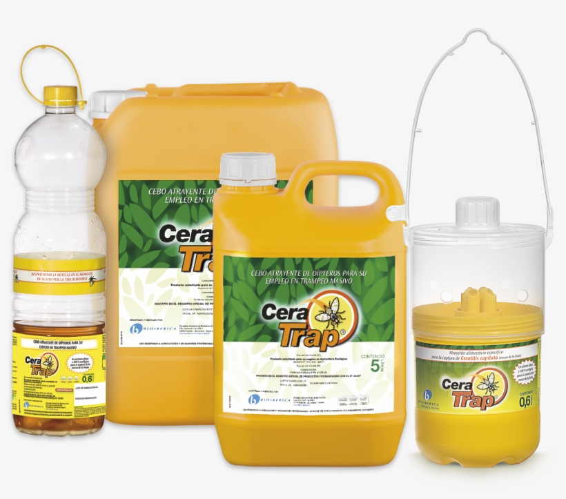 Nou Bodego Ceratrap Fondo - Ceratrap Botella, transparent png download
