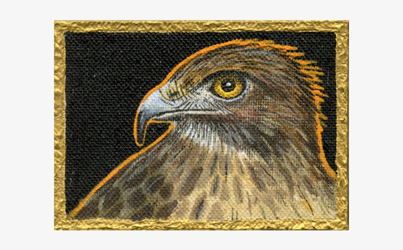 Winter Hawk Ii - Golden Eagle, transparent png download