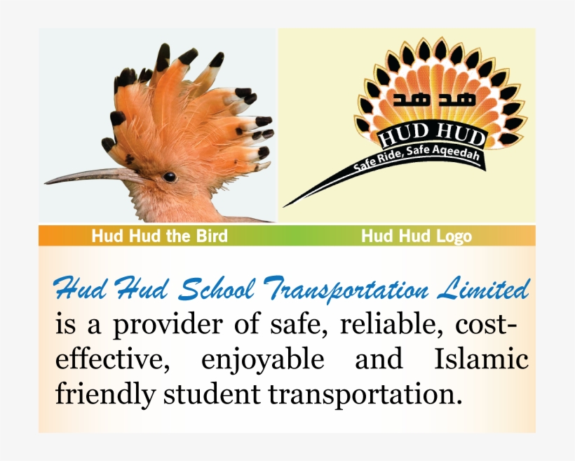 Hud Hud School Transportation Ltd - Bayonet Point Middle School, transparent png download