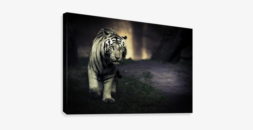 White Walker Canvas Print - Posterazzi White Walker Canvas Art - Jesus Gonzalez, transparent png download