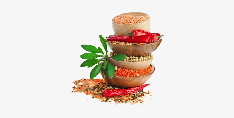 About Us - Lentil, transparent png download