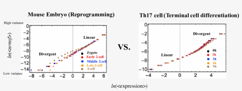 Genome Avalanches Scaling Divergent Behaviors - Web Browser, transparent png download