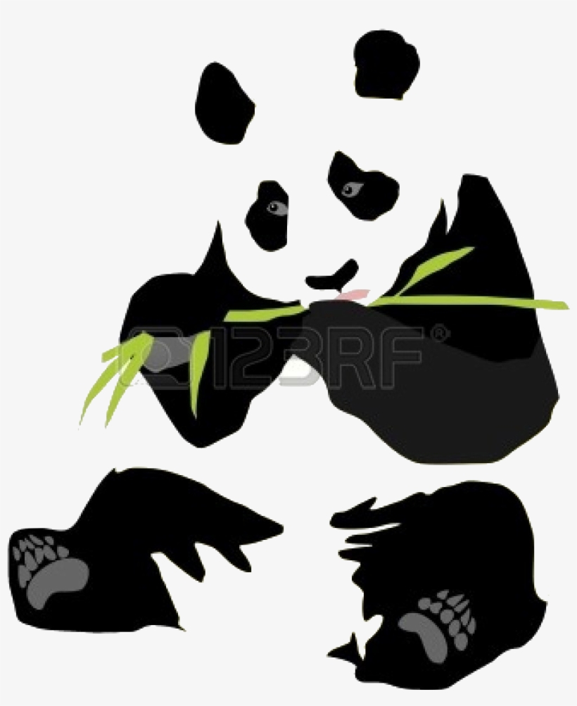The Breeding Of Giant Pandas Occurs Between The Ages - Panda Eating Bamboo 2 Shower Curtain, transparent png download