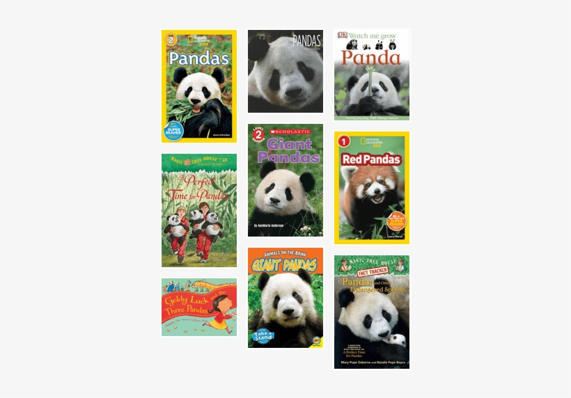 Pandas Grades K-5 - Perfect Time For Pandas (magic Tree House Merlin Mission), transparent png download