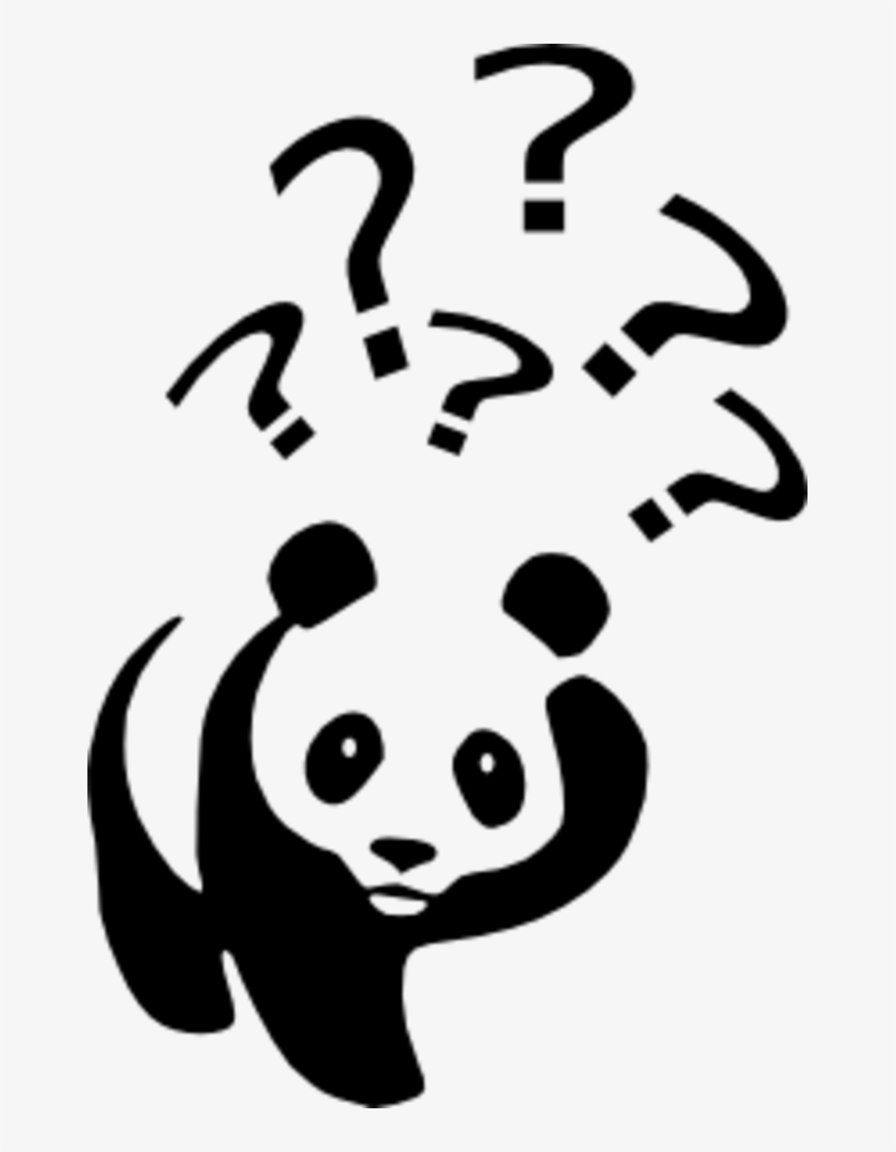 Lastly, The Giant Pandas Are Endangered - Panda Question, transparent png download