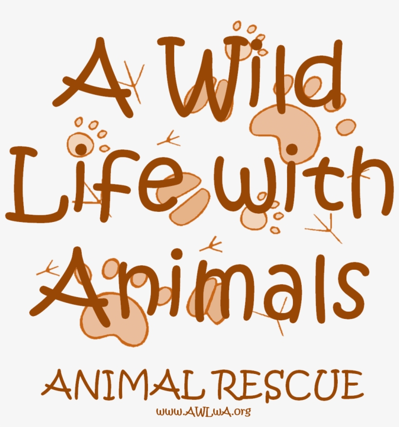 Jungle Animal Name Tags, transparent png download