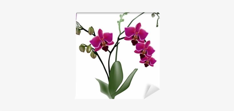 Dark Pink Orchid Branch With Four Flowers Wall Mural - Orchidej Taška, transparent png download