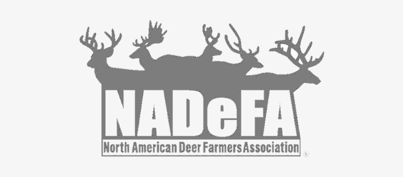 Nadefa 2008 Logo1 - Nadefa, transparent png download