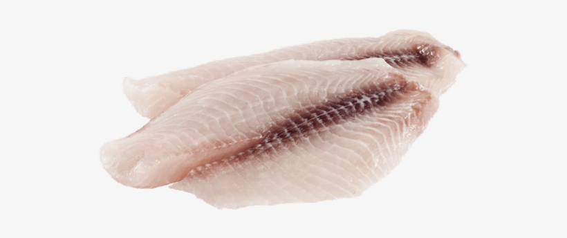 Download - Fish, transparent png download