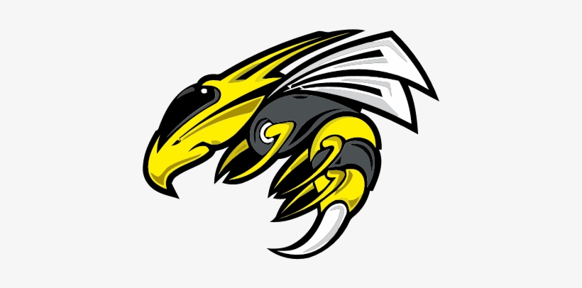 Decals By Xx Gr Fighter Xx - Vector Hornet, transparent png download