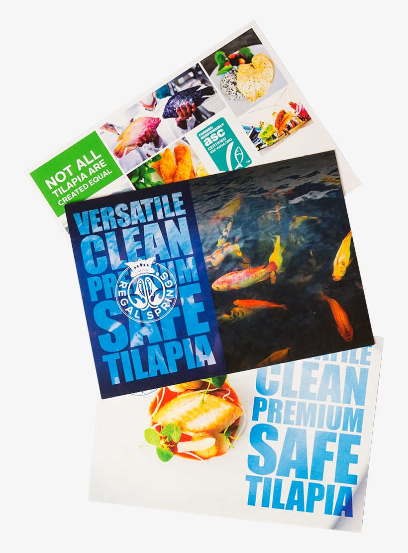 Regal Springs Notcards - Flyer, transparent png download