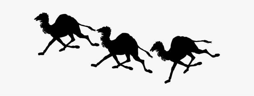 Small - Custom Running Camel Silhouette Shower Curtain, transparent png download