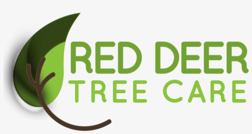Red Deer Tree Care - Keep Calm And Drink More Beer, transparent png download