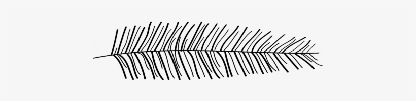 Doodle Background Design Png - Png Hand Drawn Branches, transparent png download