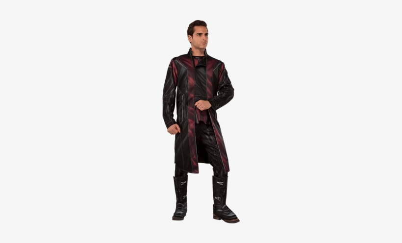 Age Of Ultron Deluxe Hawkeye Costume - Hawkeye Costume, transparent png download