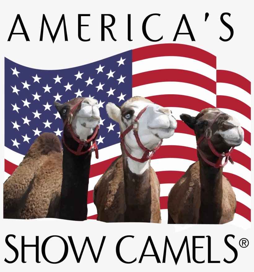 All We Offer - Television Show, transparent png download