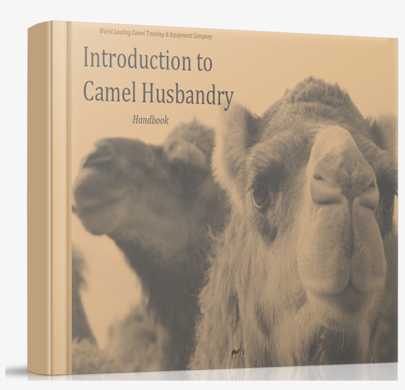 Camel Husbandry Book How To Care For Camels - Camel, transparent png download