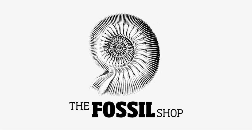 Visit The Fossil Shop On Your Next Trip To Drumheller - Graphic Design, transparent png download
