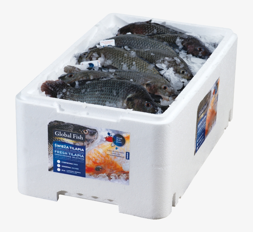 7, Tilapia On Ice, Silver - Goldfish, transparent png download