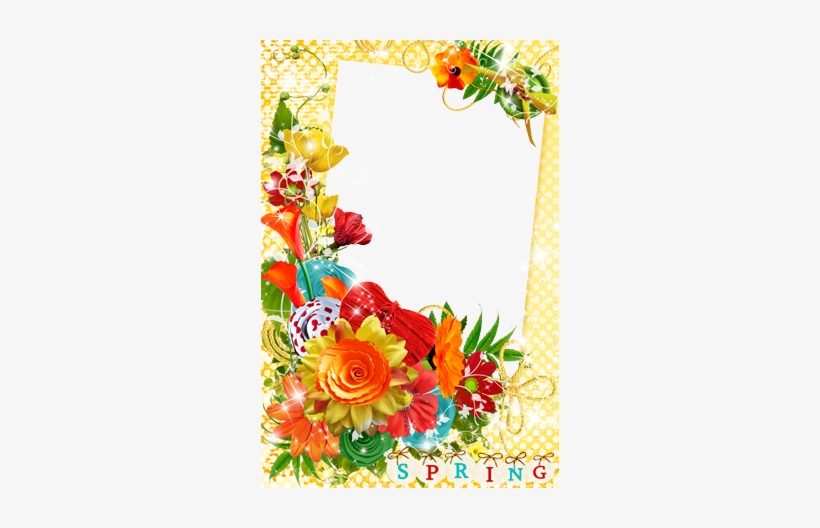 Photo Frame - Spring Colors - Cuadros Para Fotos De Primavera, transparent png download