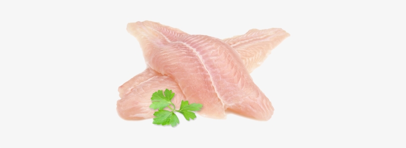 My Twitter - Basa Fillets, transparent png download