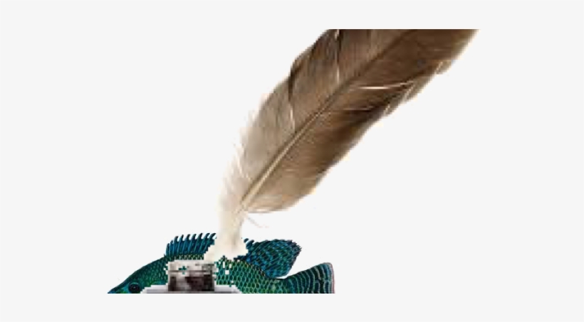 Category Archives - Tilapia - Harvest, transparent png download