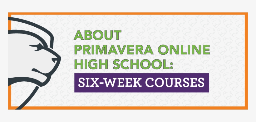 Primavera Is The Largest High School In Arizona Serving - You're Looking Very Well: The Surprising Nature Of, transparent png download
