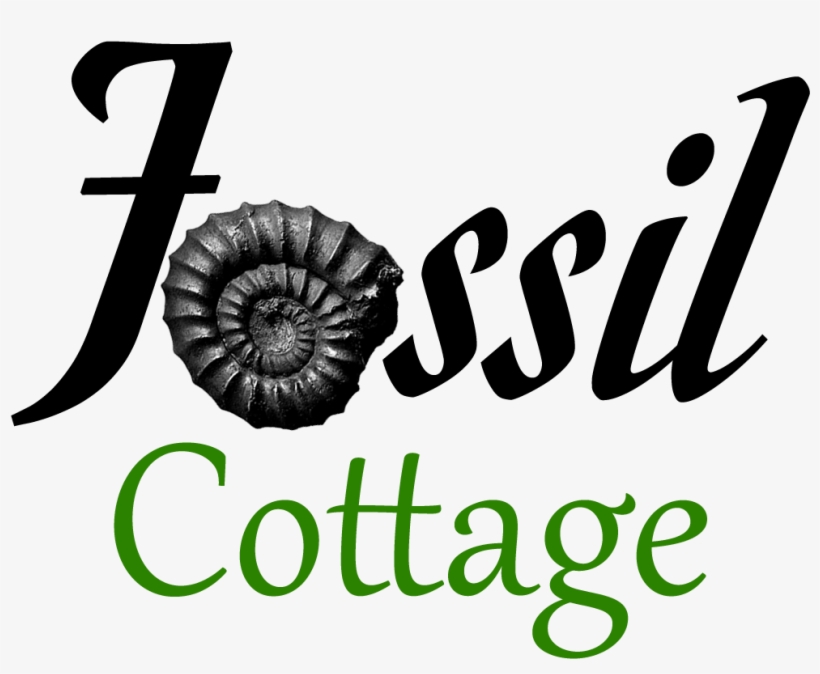 Fossil Cottage Fossil Cottage - Mr. Right Queen Duvet, transparent png download