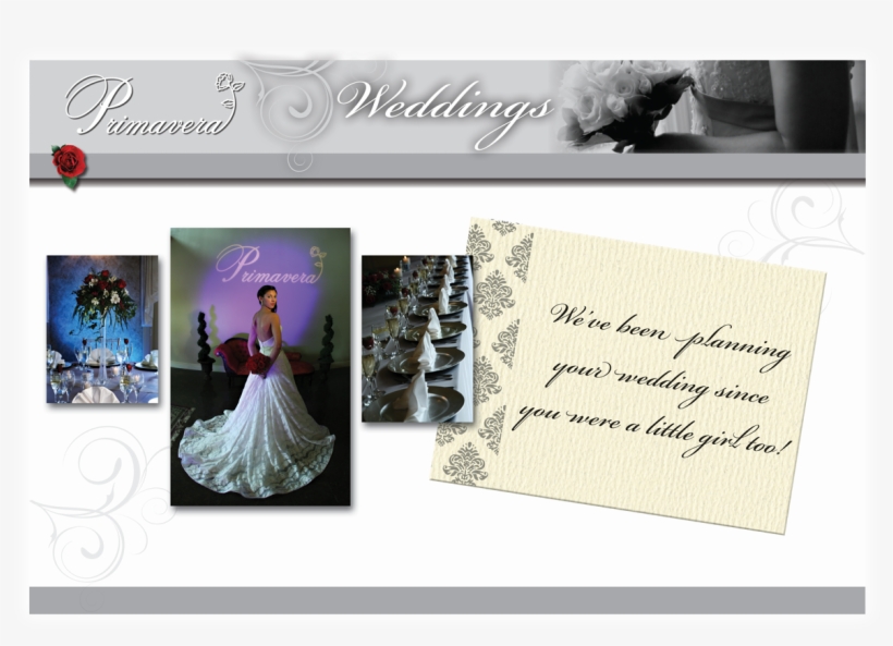 Welcome To Primavera Weddings Of Millis, Ma - Massachusetts, transparent png download