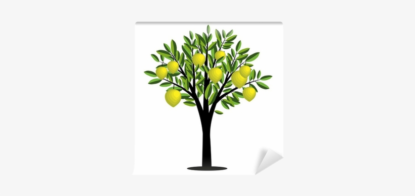 Lemon Tree Vector, transparent png download