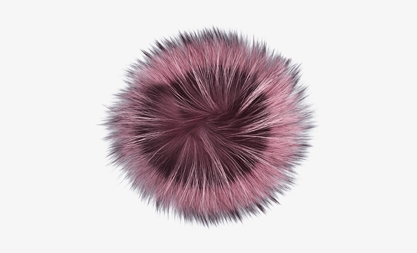 Pink - Sea Urchin, transparent png download