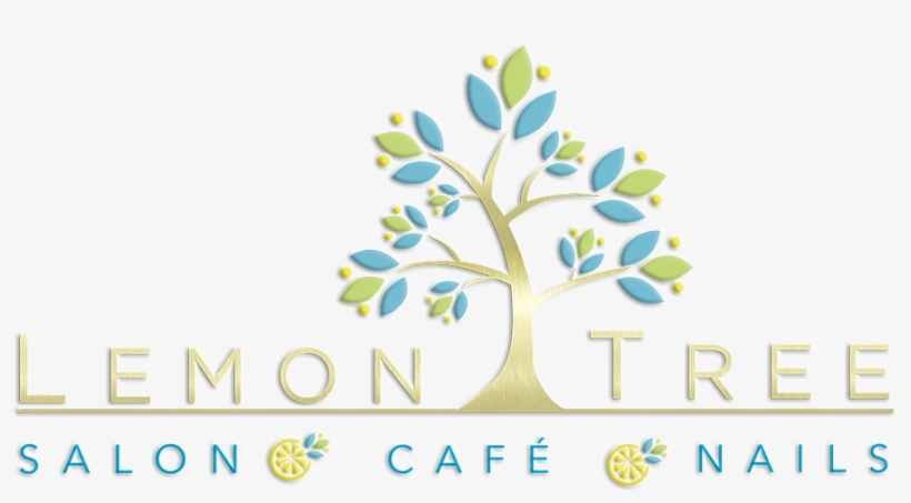 Lemon Tree Salon & Cafe - Cafe, transparent png download