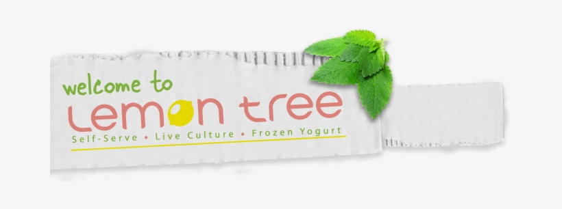 Return To Home - Lemon Tree Frozen Yogurt, transparent png download