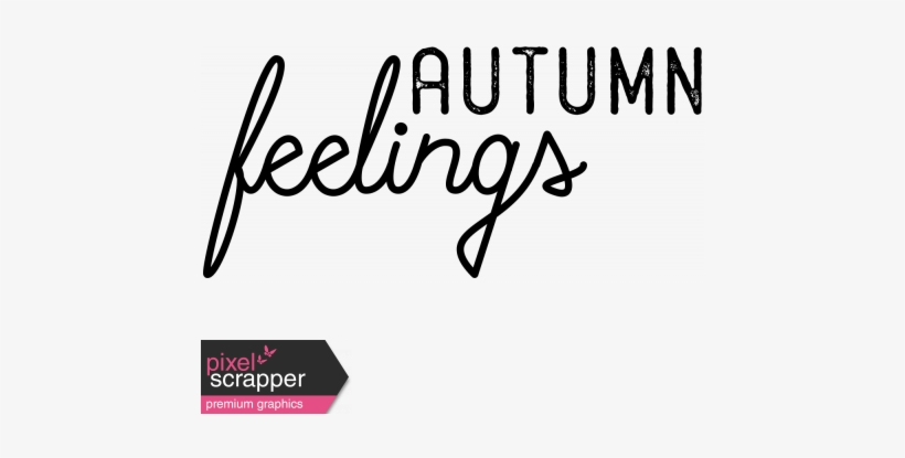 Pumpkin Spice Mini Kit - Squad Word, transparent png download