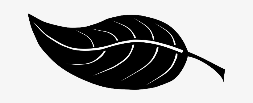 Silhouette, Leaf, Plant, Nature, Vegetation, Vegetable - Leaf Silhouette Clip Art, transparent png download
