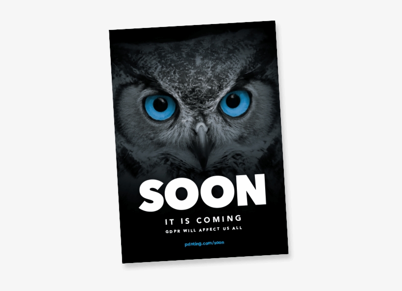 Download Our Guide To Gdpr Below Now - Green Owl Eyes, transparent png download