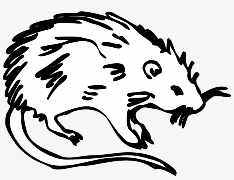 Sin Categoría - Burial Of The Rats [book], transparent png download