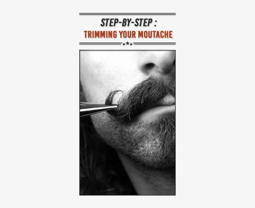 50 Coolest Mustache Styles, transparent png download