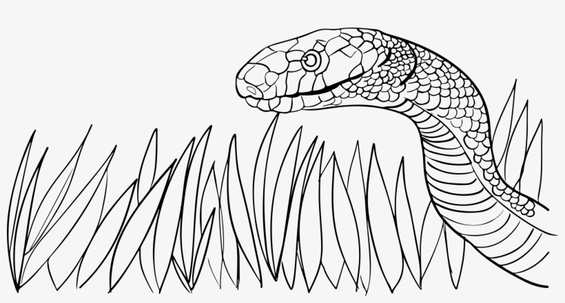 This Free Icons Png Design Of Snake In The Grass, transparent png download