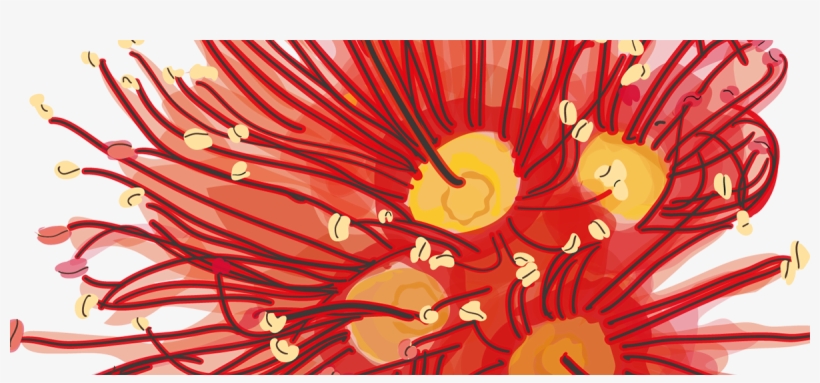 Layers Of Colour And Shades Of Translucency Were Used - Wine, transparent png download